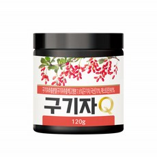 유산균발효구기자