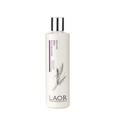 라오르 데미지 컨트롤 필 파운데이션 300ml, 단품, 1개, 0.3l