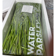 미나리 나물 제철 돌미나리 세척 500g 1kg[원산지:국산(경기도 김포시) 등], 1개