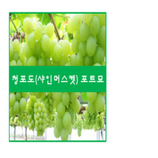 //상품명