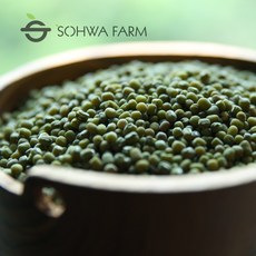 국산 녹두 1kg 햇 통녹두, 1개