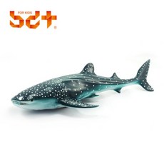 소프트고래상어친구들