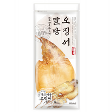 은하수산말랑오징어