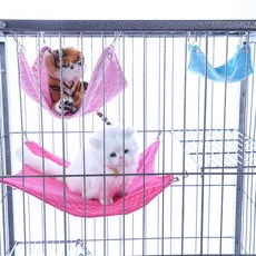 hamster-s