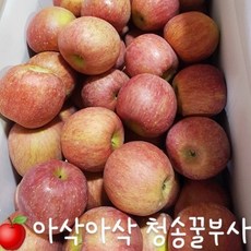 청송 산지 햇부사!!! 아~삭 새콤달콤한 부사 사과!!! 2kg / 5kg / 10kg, 정품 중과 5kg(17~22개)