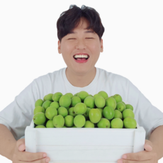 전남 농협 공동선별 매실 청매실, 5kg/대/30mm이하, 1개