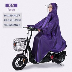 라푸마레인코트