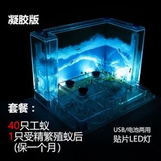 a9aa5f8b013d24d41e0db884a3f92a7e54d2062226cf4b41815e4e8aa8be.jpg