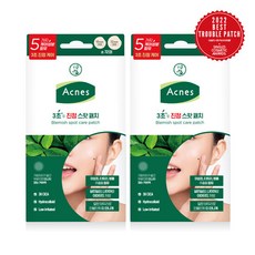 마이크로니들패치