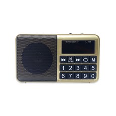 하늘소리 전자성경(16GB) 골드