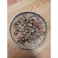 쪽파씨 500g, 1개