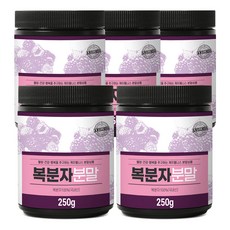 케이웰니스 국내산 복분자가루 250g x 5, 단품, 단품