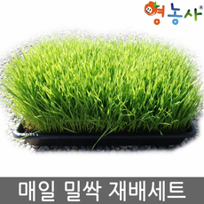 43306cc94975ad4040a4ce7933a6116c2231d152048c435461c4189adafc.png
