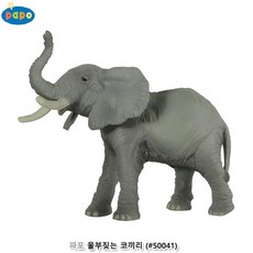 a0e01a0a20f688000da244dcc8c53043910ea3c764c141234ec98404b1f9.jpg