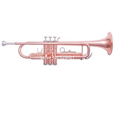 바하트럼펫수입