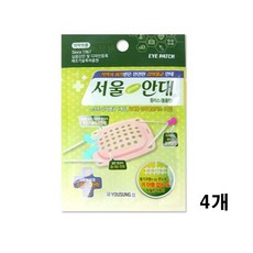 해호 서울안대 플러스 돌출 4개