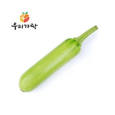 신선아삭 건강가득 인큐애호박 20개 6kg, ONE COLOR, ONE SIZE