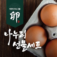 나누리 계란 선물세트 (55구), 1개