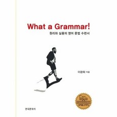 원리와 실용의 영어 문법수련서(What a Grammar!):원리와 실용의 영어 문법 수련서, 한국문화사