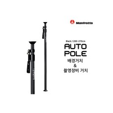 맨프로토오토폴