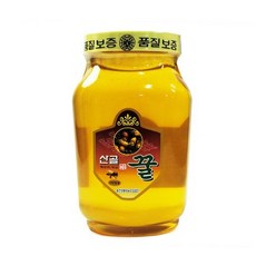 천년건강 아카시아꿀 사양벌꿀 2.4kg 홍천양봉영농조합법인 산골꿀 천년건강 Honey, 1개