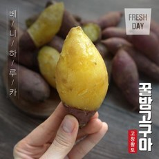 프레시데이 달콤한 고창 꿀밤 고구마 5kg (소), 1
