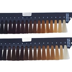 올디브 색상표 레벨표 차트(정품), 1개