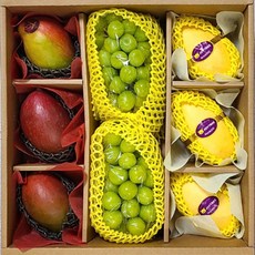 애플망고 망고 샤인머스켓 선물세트 명품과일선물세트 설선물, 1세트