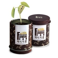 플라워캔메시지콩