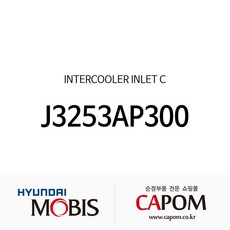인터쿨러 인렛 C (J3253AP300) 더뉴 모하비 모하비 더마스터 벨로스터, 1개