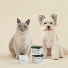  프로젝트21 마일드 이어 클렌징 패드110ml 50매 (고양이 강아지 귀 세정 귀청소 염증 예방 세정제), 마일드 이어클렌징 패드 3개(150매) 