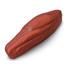 미국산 근육모형 24038 2.5kg 근육 실물느낌 주문 후 수입(45일 소요) 인체모형