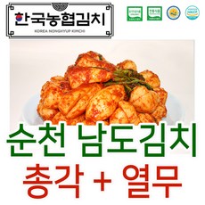 남다른농수산열무