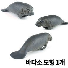 파포해양동물