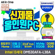 삼성전자 삼성 DM530AFA-L38A 13세대 CPU-i3 올인원 일체형PC 컴퓨터 사무용 가정용 게임 데스크탑, SSD 512GB+RAM 8GB