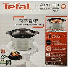 테팔 인덕션 아로마 통주물 양수냄비, 그린, 1개, 24cm
