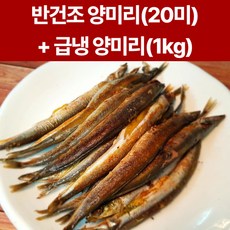 속초 양미리 (반건조+급냉) 구성 산지직송 자연산 100%, [양미리세트]급냉 양미리1kg+반건조양미리20미, 1개