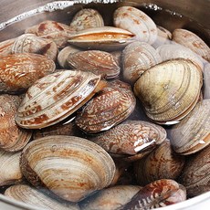 [참다올] 남해바다 바지락살1kg, 1개
