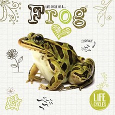 Life Cycle of a Frog Paperback, Booklife Us, English, 9781786376473