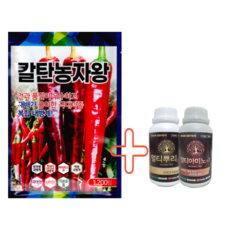 고추종자 칼탄농자왕 1200립 고추씨앗