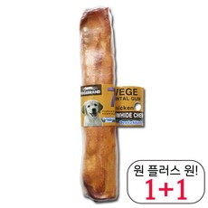 이누스바스잉글리쉬