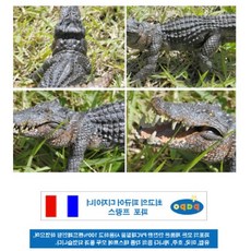 악어모형