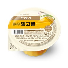  [뉴케어] 영양간식 망고젤 100g, 40개 