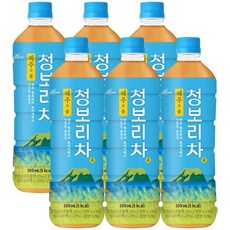 [쟈뎅] 제주의 봄 청보리차 500ml X 6EA, 6개