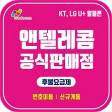 유플러스알뜰유심