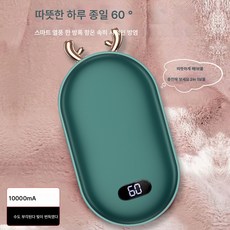 DFMEI usb 손난로 겸용 모바일 전원 보조 겸용 휴대용, 사슴 그린(디지털 디스플레이)