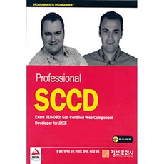 자바스크립트professional