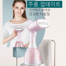 다리미선