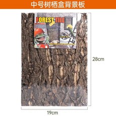 개구리키우기 거북이 화이트트리프록 채집통 키우기