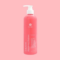 디블랙스 페로몬 퍼퓸 샴푸 500ml, 1개